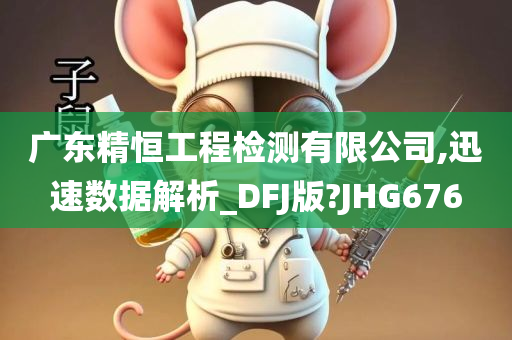 广东精恒工程检测有限公司,迅速数据解析_DFJ版?JHG676