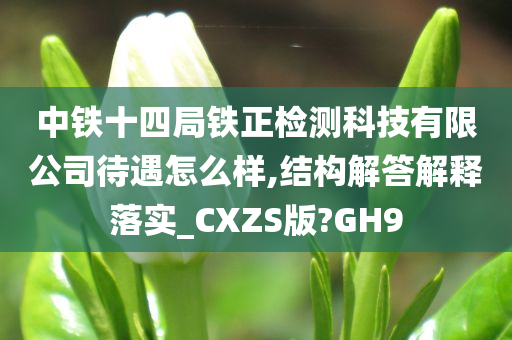 中铁十四局铁正检测科技有限公司待遇怎么样,结构解答解释落实_CXZS版?GH9