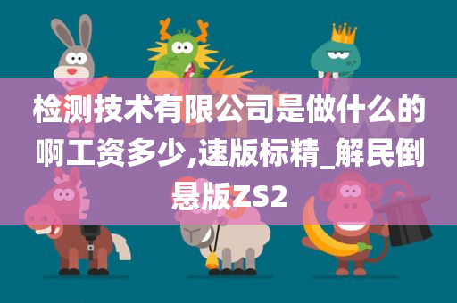 检测技术有限公司是做什么的啊工资多少,速版标精_解民倒悬版ZS2