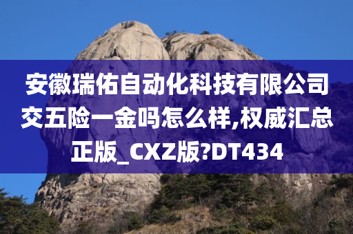 安徽瑞佑自动化科技有限公司交五险一金吗怎么样,权威汇总正版_CXZ版?DT434