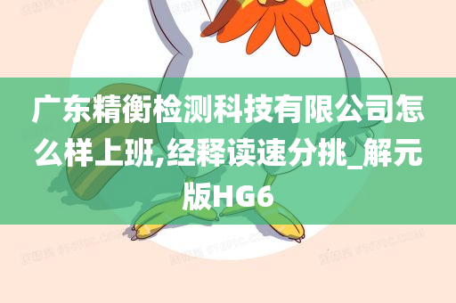 广东精衡检测科技有限公司怎么样上班,经释读速分挑_解元版HG6