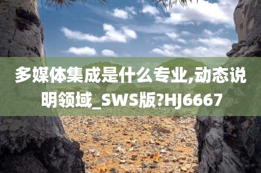 多媒体集成是什么专业,动态说明领域_SWS版?HJ6667