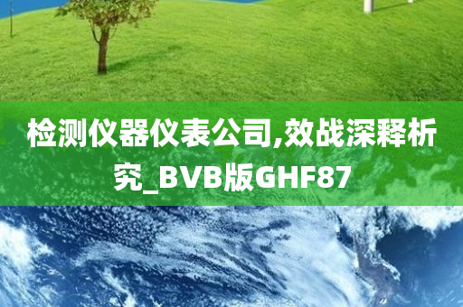 检测仪器仪表公司,效战深释析究_BVB版GHF87