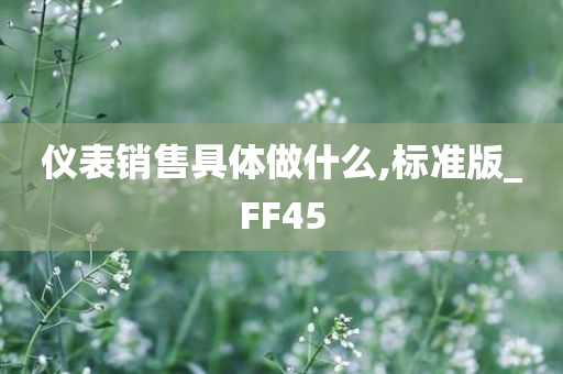 仪表销售具体做什么,标准版_FF45