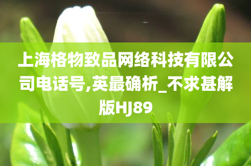 上海格物致品网络科技有限公司电话号,英最确析_不求甚解版HJ89