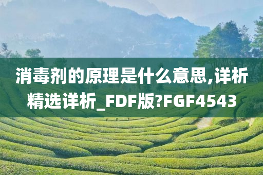 消毒剂的原理是什么意思,详析精选详析_FDF版?FGF4543