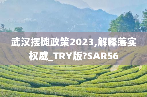 武汉摆摊政策2023,解释落实权威_TRY版?SAR56