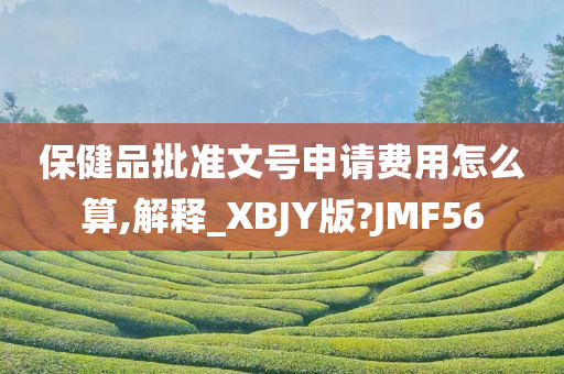 保健品批准文号申请费用怎么算,解释_XBJY版?JMF56