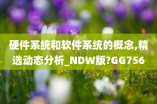 硬件系统和软件系统的概念,精选动态分析_NDW版?GG756