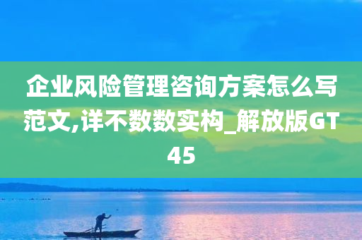 企业风险管理咨询方案怎么写范文,详不数数实构_解放版GT45