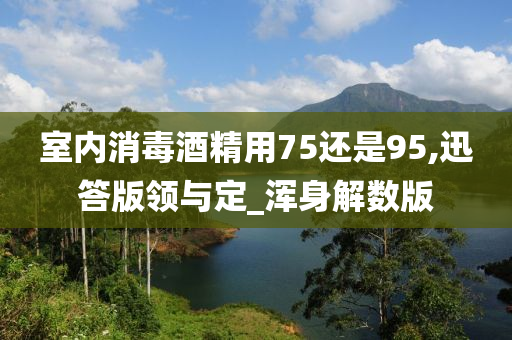 室内消毒酒精用75还是95,迅答版领与定_浑身解数版