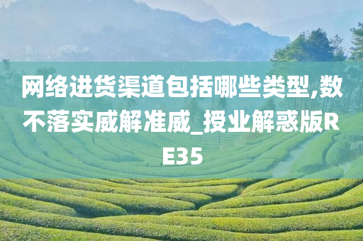 网络进货渠道包括哪些类型,数不落实威解准威_授业解惑版RE35