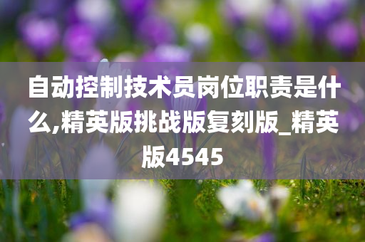 自动控制技术员岗位职责是什么,精英版挑战版复刻版_精英版4545