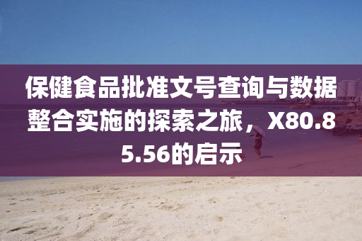 保健食品批准文号查询与数据整合实施的探索之旅，X80.85.56的启示