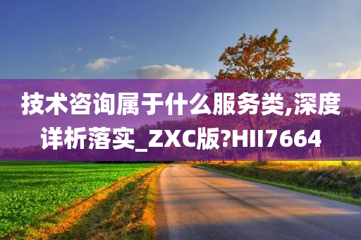 技术咨询属于什么服务类,深度详析落实_ZXC版?HII7664