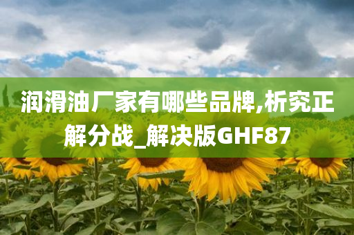 润滑油厂家有哪些品牌,析究正解分战_解决版GHF87