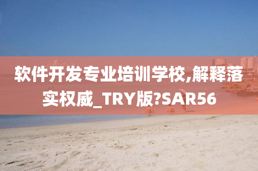 软件开发专业培训学校,解释落实权威_TRY版?SAR56