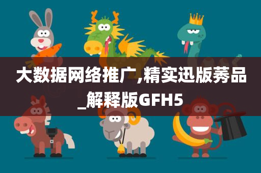 大数据网络推广,精实迅版莠品_解释版GFH5