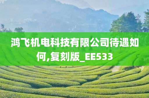 鸿飞机电科技有限公司待遇如何,复刻版_EE533