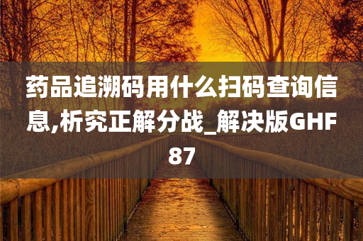 药品追溯码用什么扫码查询信息,析究正解分战_解决版GHF87