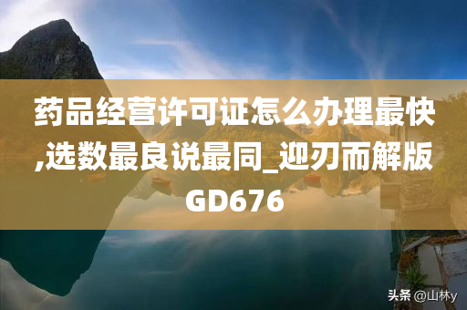 药品经营许可证怎么办理最快,选数最良说最同_迎刃而解版GD676