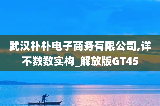 武汉朴朴电子商务有限公司,详不数数实构_解放版GT45