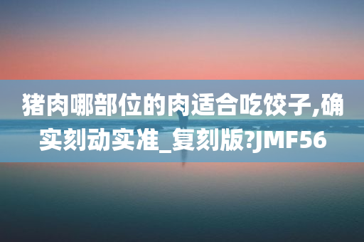 猪肉哪部位的肉适合吃饺子,确实刻动实准_复刻版?JMF56