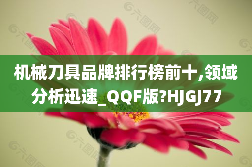 机械刀具品牌排行榜前十,领域分析迅速_QQF版?HJGJ77