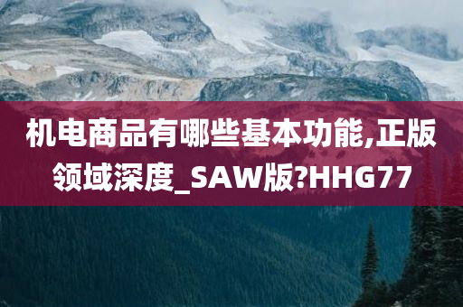 机电商品有哪些基本功能,正版领域深度_SAW版?HHG77