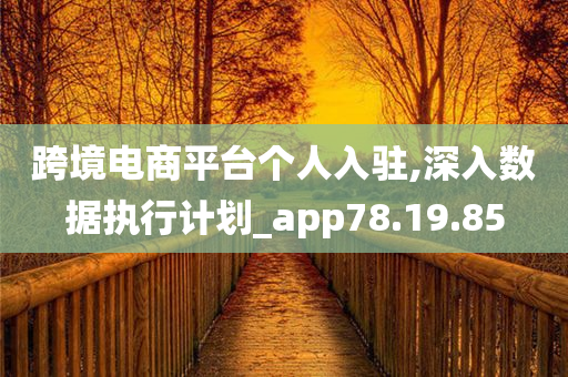 跨境电商平台个人入驻,深入数据执行计划_app78.19.85