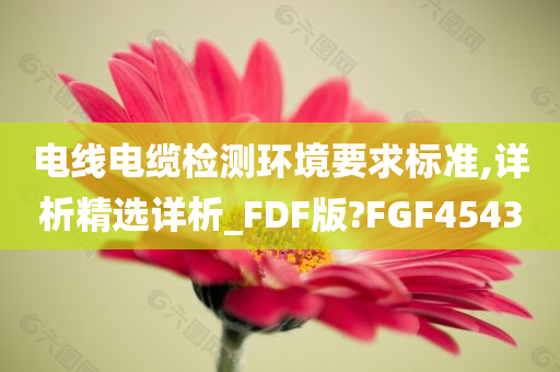 电线电缆检测环境要求标准,详析精选详析_FDF版?FGF4543