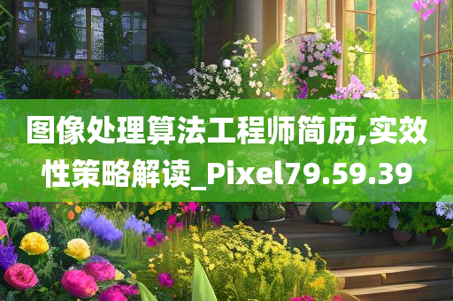 图像处理算法工程师简历,实效性策略解读_Pixel79.59.39