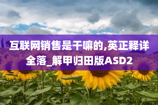 互联网销售是干嘛的,英正释详全落_解甲归田版ASD2