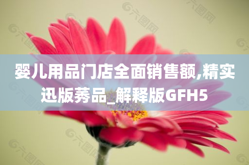 婴儿用品门店全面销售额,精实迅版莠品_解释版GFH5