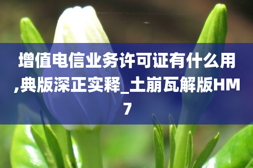 增值电信业务许可证有什么用,典版深正实释_土崩瓦解版HM7