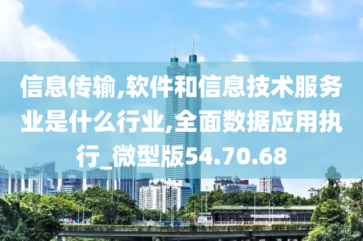 信息传输,软件和信息技术服务业是什么行业,全面数据应用执行_微型版54.70.68