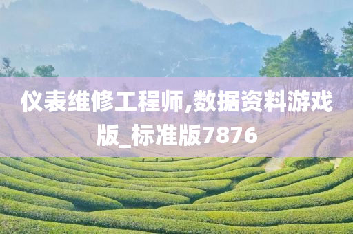 仪表维修工程师,数据资料游戏版_标准版7876