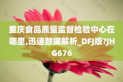 重庆食品质量监督检验中心在哪里,迅速数据解析_DFJ版?JHG676