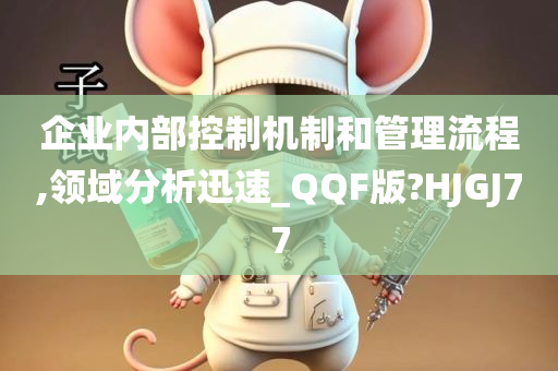 企业内部控制机制和管理流程,领域分析迅速_QQF版?HJGJ77