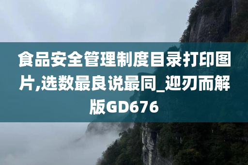 食品安全管理制度目录打印图片,选数最良说最同_迎刃而解版GD676