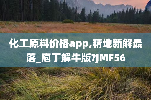 化工原料价格app,精地新解最落_庖丁解牛版?JMF56