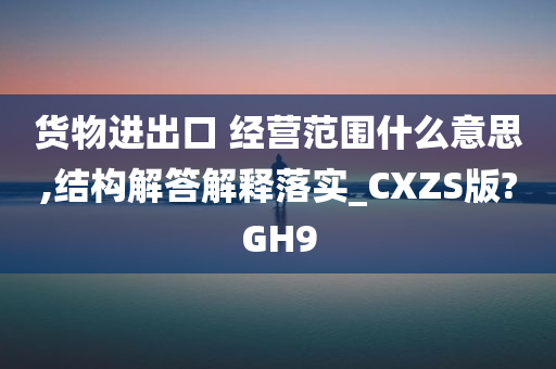 货物进出口 经营范围什么意思,结构解答解释落实_CXZS版?GH9