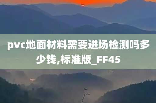 pvc地面材料需要进场检测吗多少钱,标准版_FF45