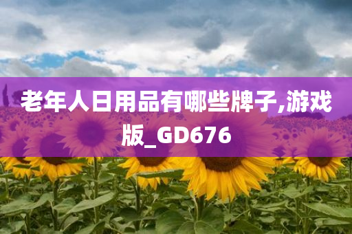 老年人日用品有哪些牌子,游戏版_GD676