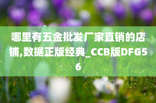 哪里有五金批发厂家直销的店铺,数据正版经典_CCB版DFG56