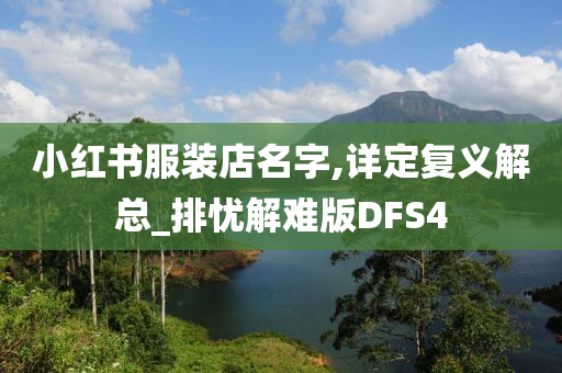 小红书服装店名字,详定复义解总_排忧解难版DFS4