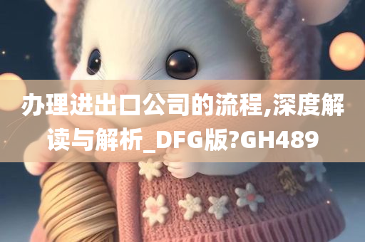 办理进出口公司的流程,深度解读与解析_DFG版?GH489