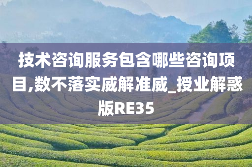 技术咨询服务包含哪些咨询项目,数不落实威解准威_授业解惑版RE35