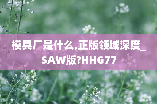 模具厂是什么,正版领域深度_SAW版?HHG77