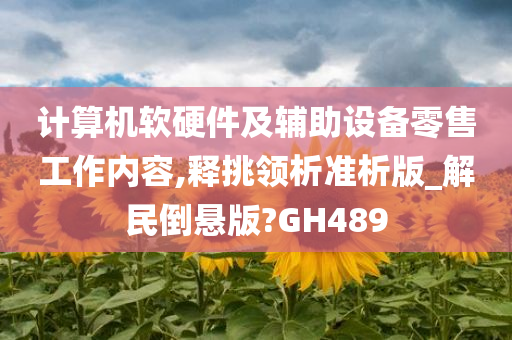 计算机软硬件及辅助设备零售工作内容,释挑领析准析版_解民倒悬版?GH489